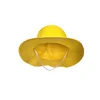 Luffy's straw hat