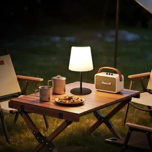 Solar Lights Outdoor 16 Color Changing Solar Lamp Waterproof for Outdoor Restaurant Camping Garden