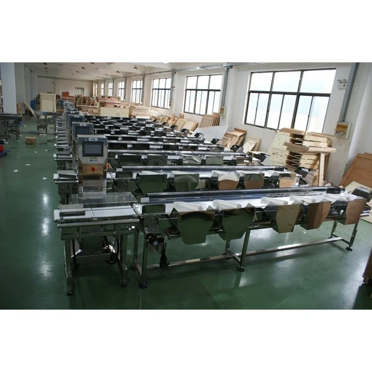Automatic 6 Levels Fish Meat Weight Sorting Sorter Machine