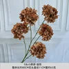 5 hortensias pequeñas