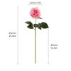 Rose foncé