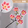 5 flores de magnolia, rosa