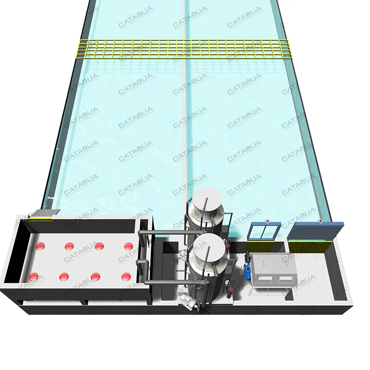 Raceway Tank RAS Recirculating Aquaculture Equipment Arowana Fish Farm Aquarium Systems