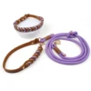 Dog Collar and Leash Set Purple