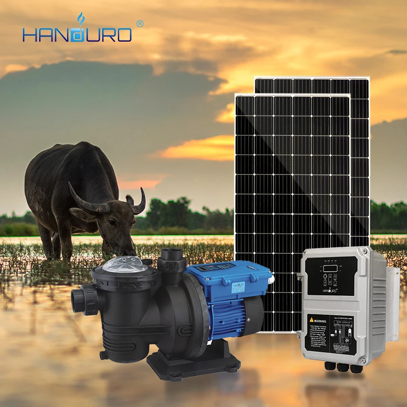 HANDURO Solar Powered Swimming Pool Filter Solar Pump Dc Pool Solar Pump Factory Manufacturer