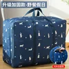 Navy Blue Cat