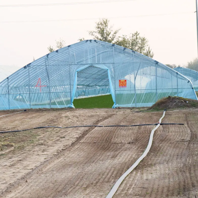 200 Micron Greenhouses Plastic Film for Agriculture Irrigation System Greenhouses Cover Sfrom China Manufacture