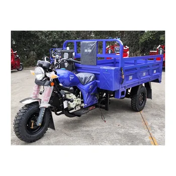3 Wheel Gasoline Engine Motorized Petrol Cargo Tricycles for Adults