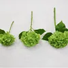 Piccola dimensione - sensazione tattile - ortensia - verde intenso