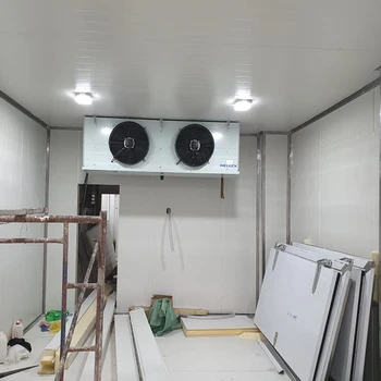 Air-Cooled 100mm Panel Thickness Cold Storage Room Copeland Brand Low Temperature Refrigeration Unit for Meat Storage