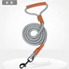 Gray Leash