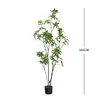 Árbol del dinero de hoja pequeña, estilo A, 160 cm (incluye maceta con base negra).