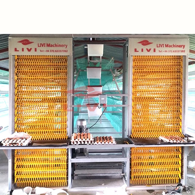 
20 Years supply poultry farming egg laying cage chicken for a type chicken cage layers in South Africa 