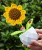 Crocheted sunflower pot