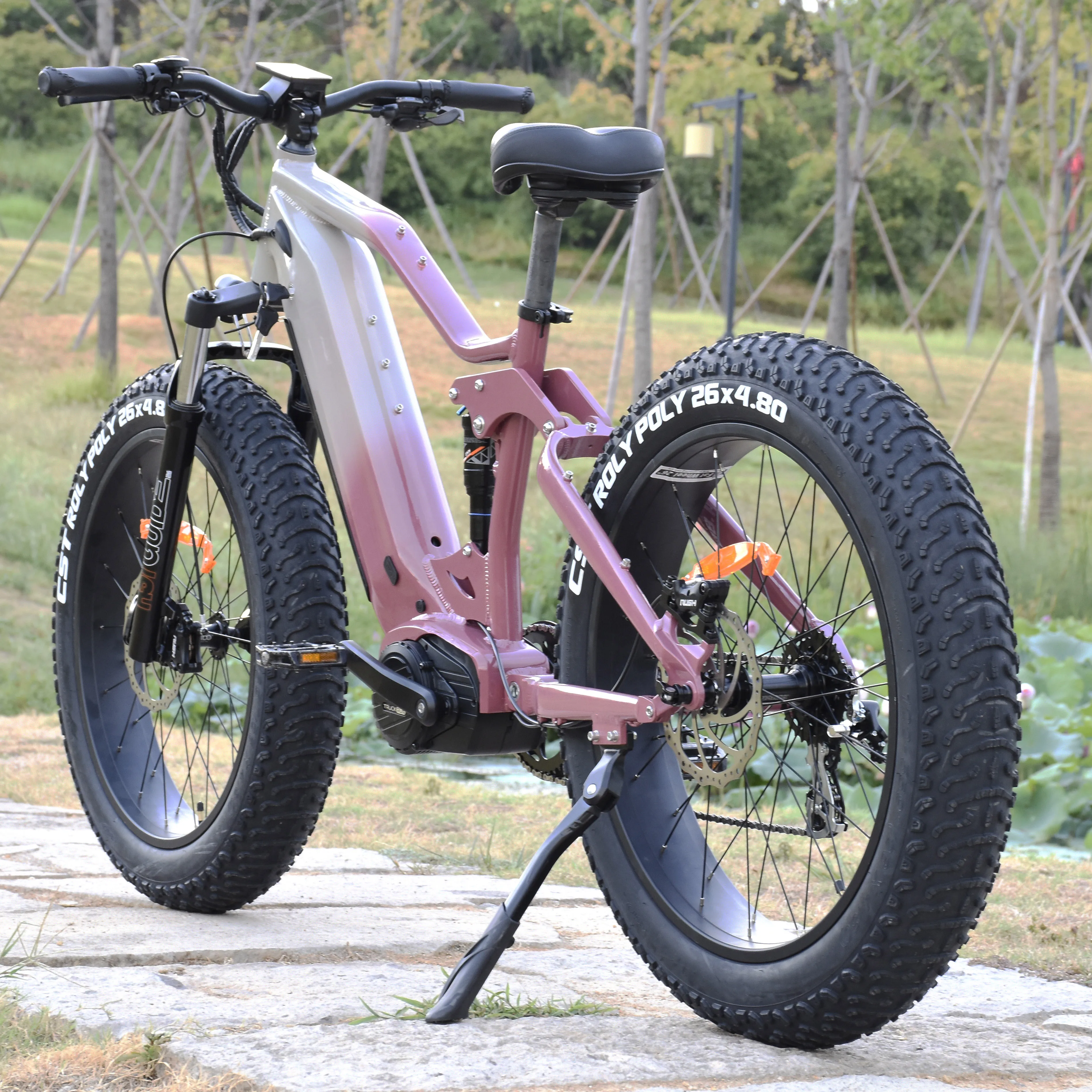Mid Drive Best Electric Bike 1000w BPM F-1000 1000W Mid Drive All