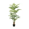 Verde-1
