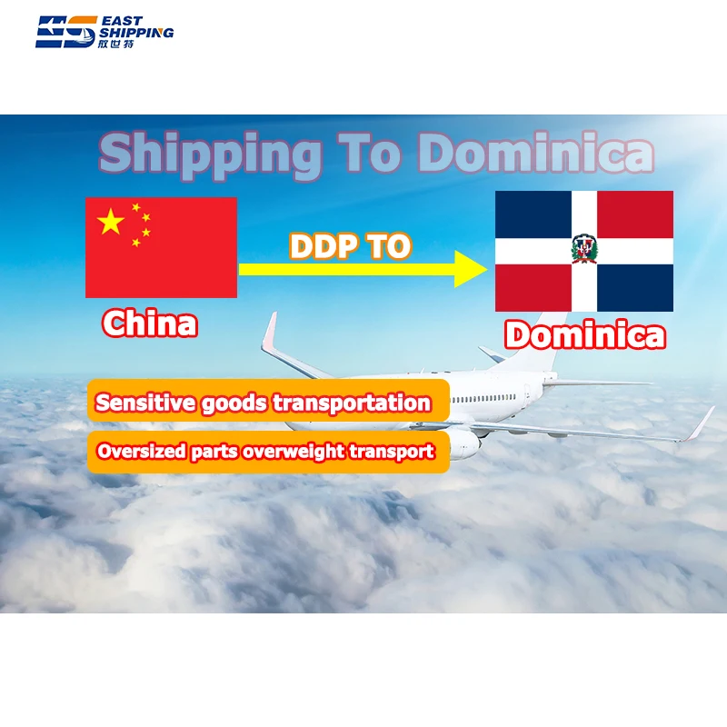 international freight forwarder Agent To Dominican From Shenzhen china shipping to Dominican