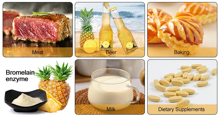 High Activity Pineapple Extract Bromelain Enzyme 100,000u/g-1,200,000u/g