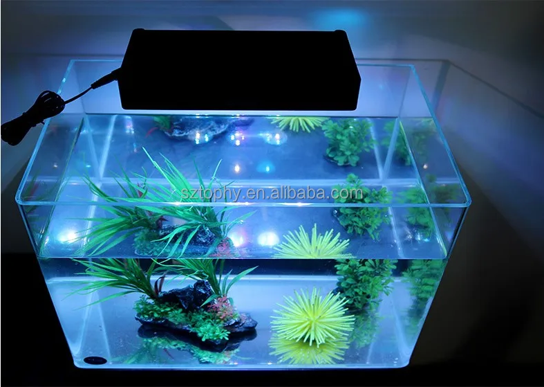 自然照明led水族箱盐水海水光珊瑚生长鱼缸 Buy Led水族盐水光 盐水光珊瑚生长鱼缸 珊瑚生长鱼缸光product On Alibaba Com