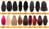 Customize any color freely
