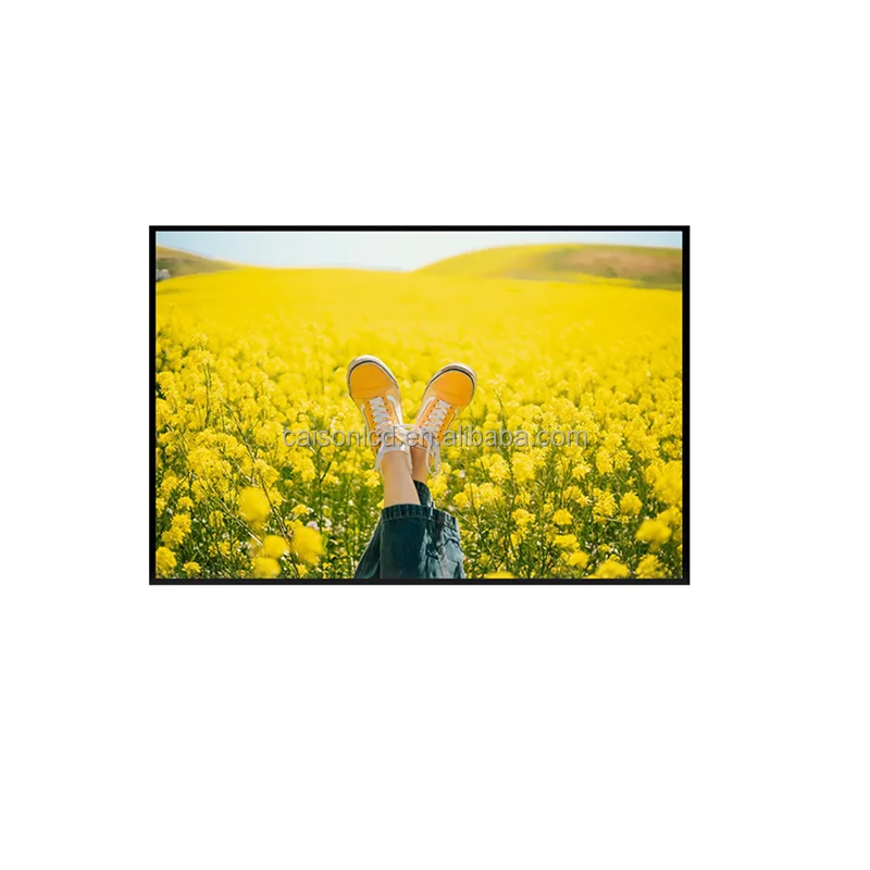 AUO 32 inch high brightness LCD panel P320HVN03.1 support 1920(RGB)*1080, 1000 nits, High brightness LCD screen factory