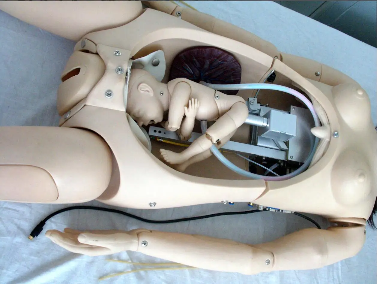 Advanced School Teaching Tool Manikin Delivery Maternal And Neonatal