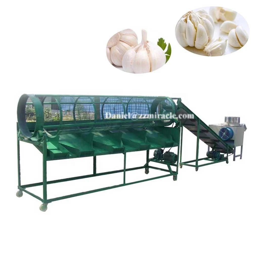 Exceptional, Efficient Garlic Peeking Machines 