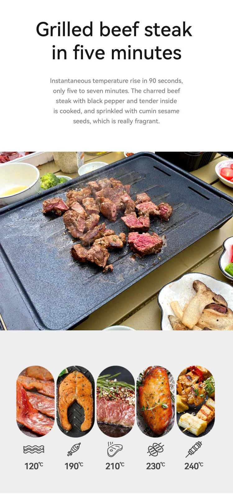 Multi Fuel Ceramic Solar Outdoor Butane Smart Kerosene Electric Fire