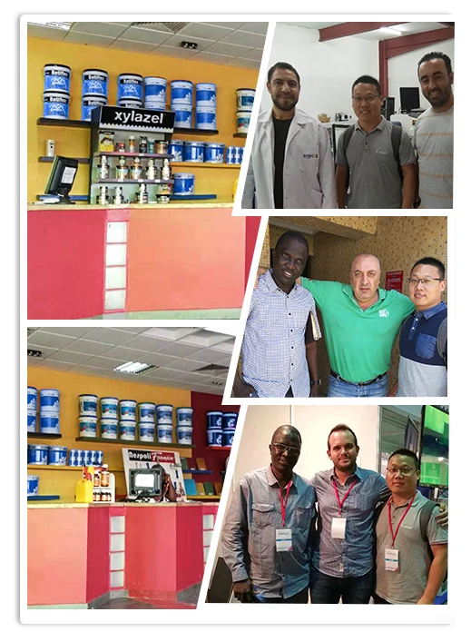 Wholesale Factory Automotive Auto Paint Repair Refinish Car