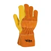 Yellow / Orange