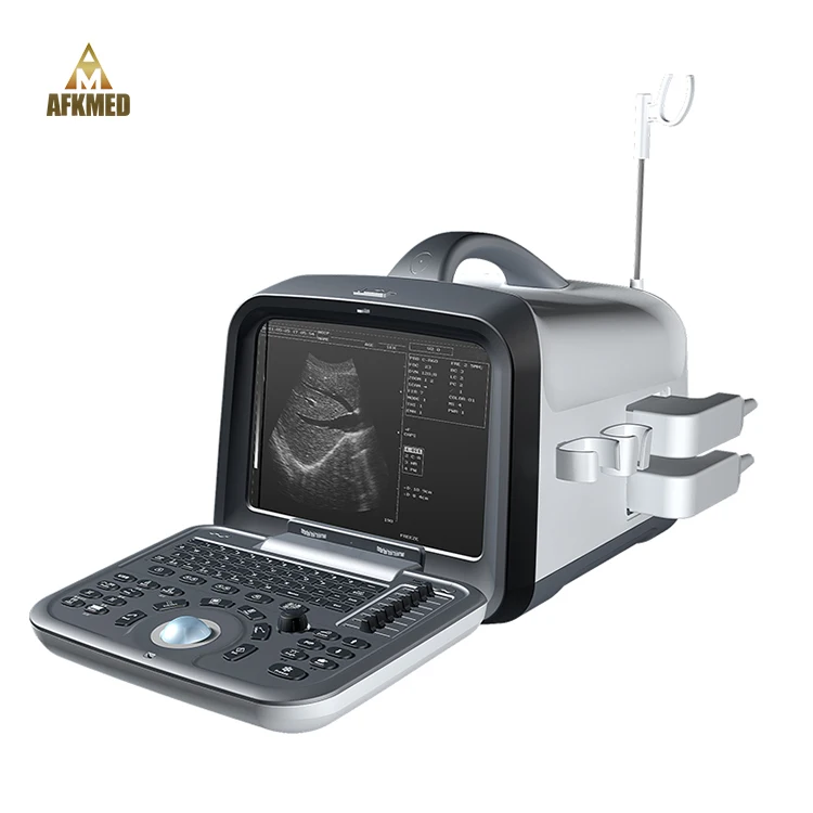 Hot sale 3d veterinary ultrasound dogs cats portable ultrasound medical scan machine