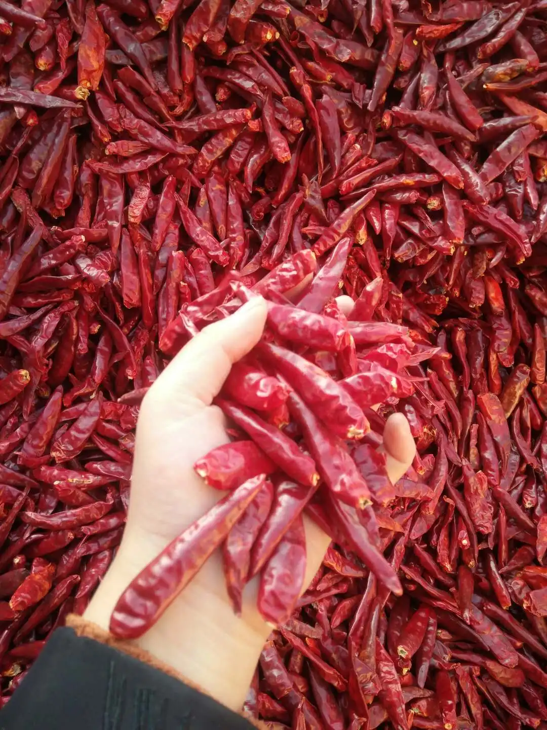 fumanxin paprika crushed  sweet chilli /pepper