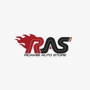Ricambi Auto Store S.r.l. Logo