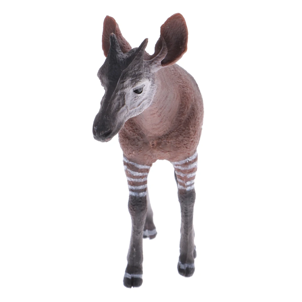 Details about   Realistic Okapi Wildlife Animal Model Action Figure Kids Toy Home Decor Gift 