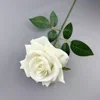 Rose à grandes cornes - Blanche
