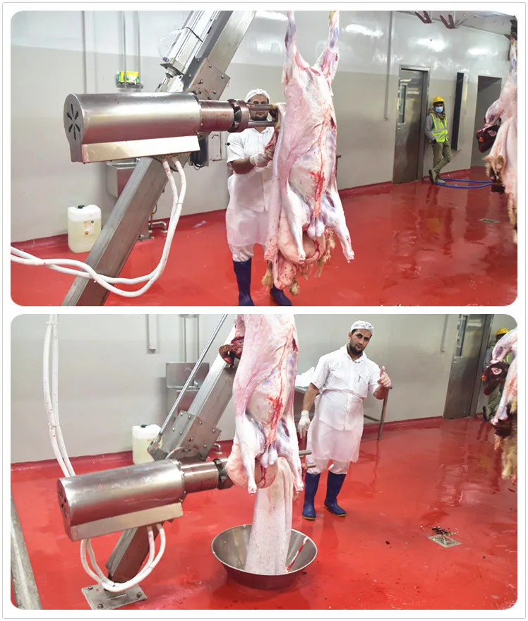 Muslim Lamb Slaughtering Line With Goat Meat Processing Cutting Butcher ...