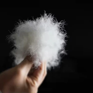 Wholesale Washed White Duck Down Feather Filled Pluming Tools Comforter Goose Down Feather Filling Plume Duck Feather