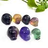 Fluorite Ladybirds Insects