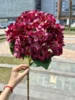#13 purple red