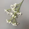 El blanco de la primavera
