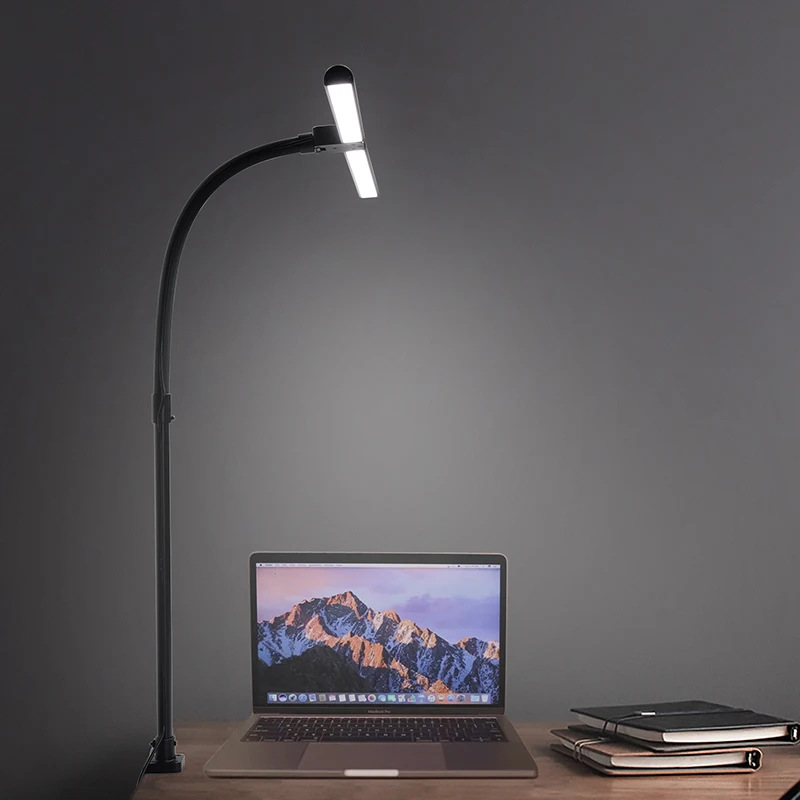 China ROSH Multifunction Large Tall Table Lamp Long Flexible Led Desk Lamp Light for Office Table
