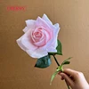 #11 rosa chiaro