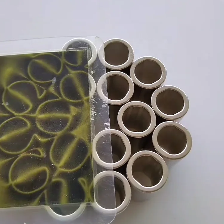 Customized Magnetic Ring Diametrically Magnetized 2 Pole Hall Sensor Magnet Multipole 6 14 16 32 Poles Ring Magnet for Motor