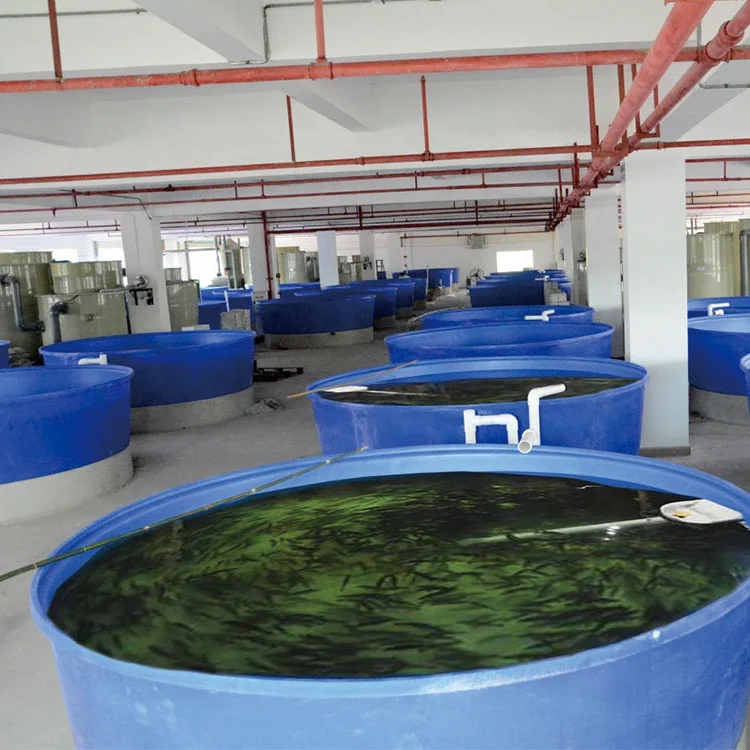 Industrial Fish Farm Tilapia Fish Breeding/florida Tropical Fish Farms/used Farm Equipment Buy