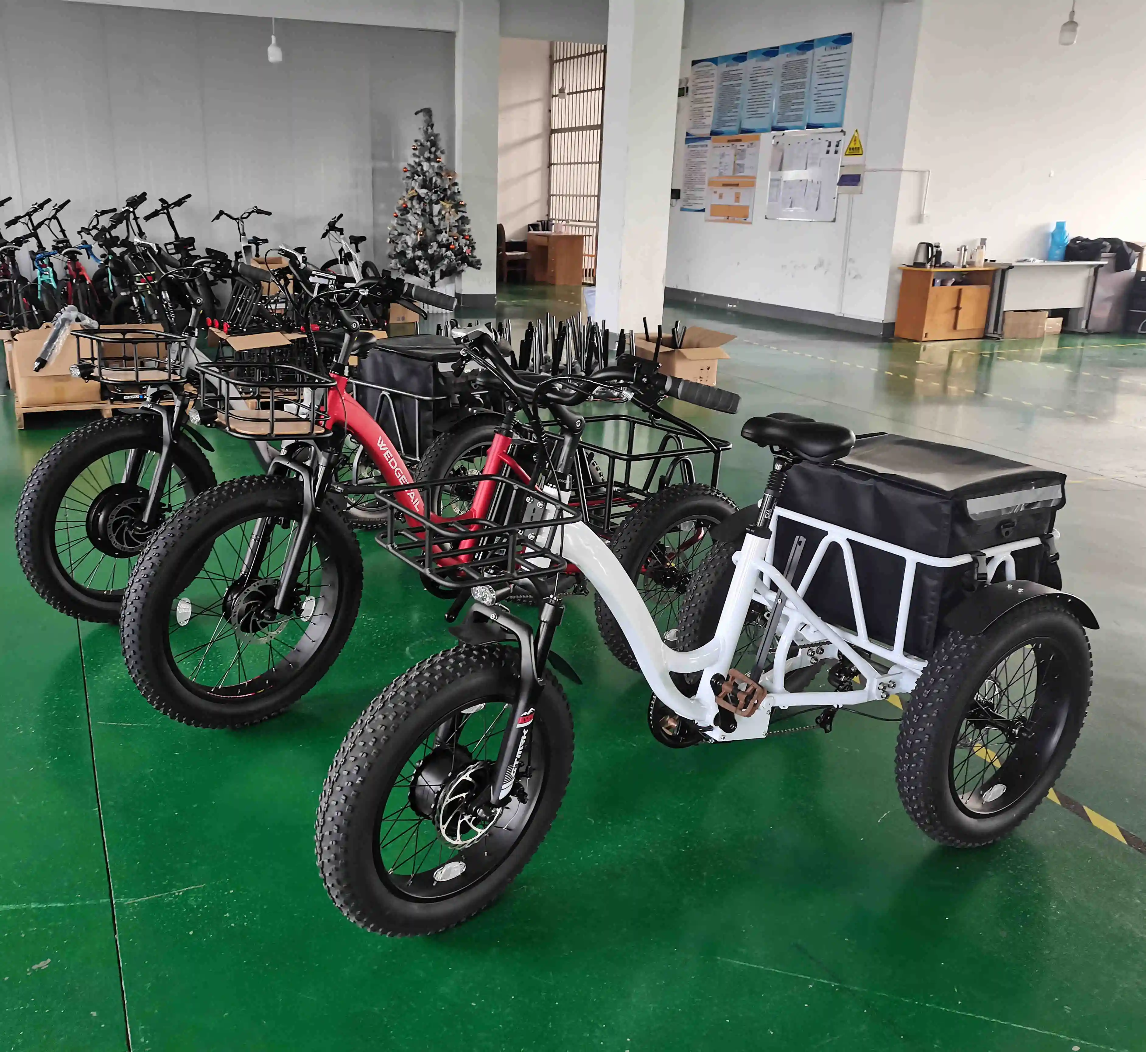 Mid Drive E-bike Motor Kit 1000w Electric Bicycle 3 Wheel Adult Tricycle  Electric Bike