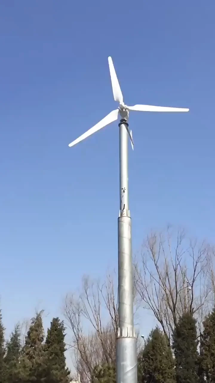 1000w Wind Turbine Generator 12v 24v 48v Windmill Alternative Energy Generator Free Energy 