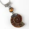 Tiger Eye