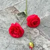 23# mu hibiscus-red