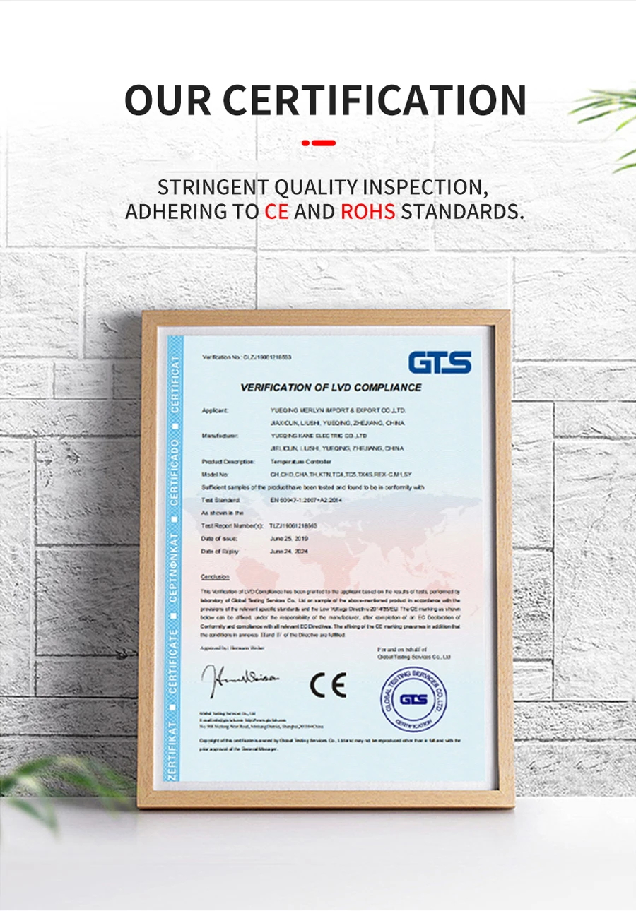 TCN5W-S 48*48mm 220V 24Vdc LED Display Digital Pid Intelligent Temperature Controller with Output Relay and SSR 4-20mA 0-10Vdc