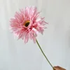 Rosa intenso